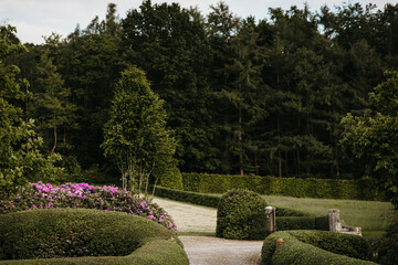 Serene garden pathway with greenery