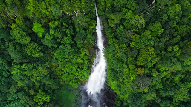 Beautiful waterfall in the rainforest. Mapalana Falls in the tropical mountain jungle. Sri Lanka.