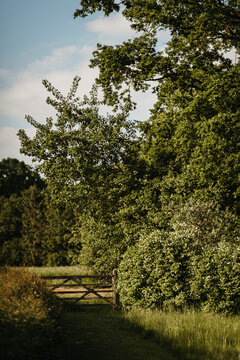 Countryside path