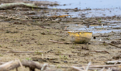 Plastic garbage in the river or lake.