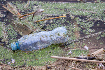 Plastic garbage in the river or lake.
