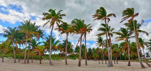 Beautiful, sunny, and breezy day at Crandon Beach Park in Miami, Florida