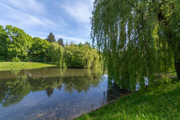 Spring version of Widzewski Park in Łódź, Poland.