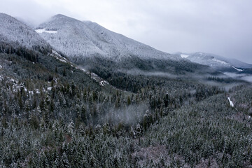 Snow-covered mountain valley near Port Renfrew, Vancouver Island, British Columbia, Canada