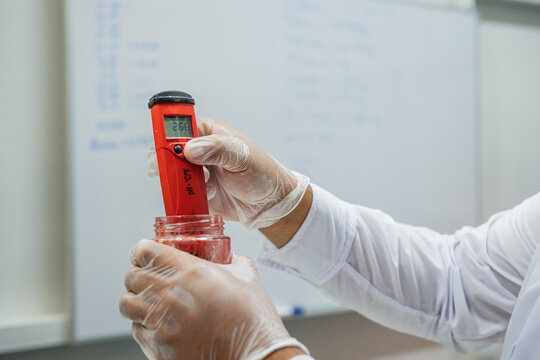 Analyzing Food Ph Meter