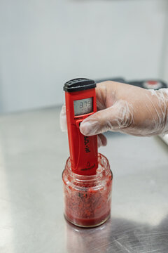 Analyzing Food Ph Meter