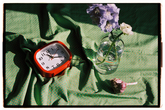 A red alarm clock and a delphinium.