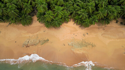 Turtle sanctuary beach with palm trees and a distant hill, Sao Tome and Principe, Africa