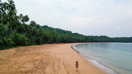 Tropical turtle sanctuary beach with palm trees and a distant hill, Sao Tome and Principe, Africa