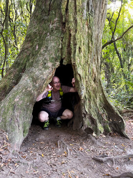 Man inside tree trunk