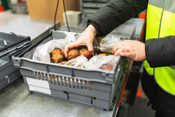 Staff using Industrial weighing scale