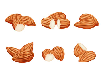 almonds on a white background. Vector eps 10