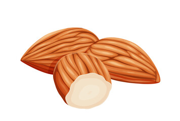 almonds on a white background. Vector eps 10