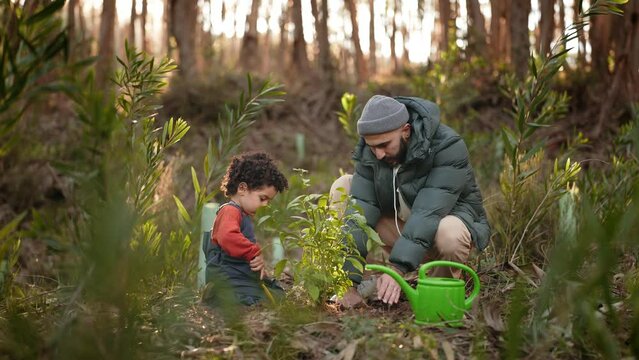 A heartwarming scene of a father teaching his child to plant a young tree in the forest during the golden hour.