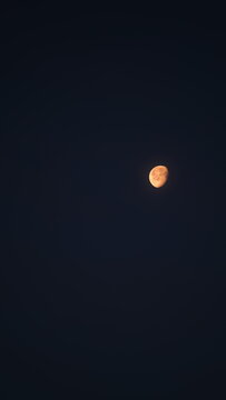 Moon in dark sky.
