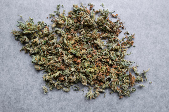 Dried Cannabis leaf