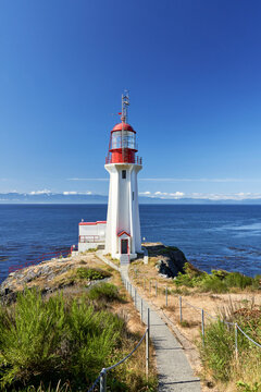 A gravel path surrounded by dried grasses leading to a tall white and red pacific ocean lightouse.