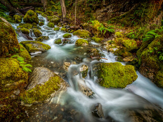 Karst Creek, Vancouver Island
