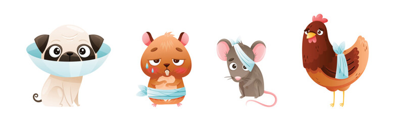 Sick Baby Animal with Bandage Injury Vector Set