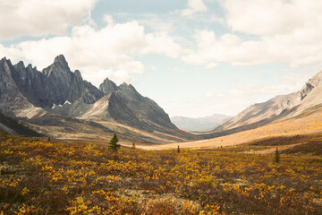 Mountains and Tundra in the Fall