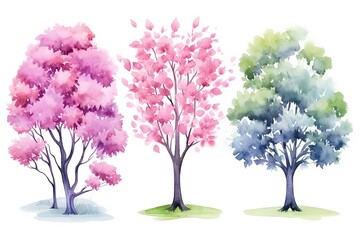 Fototapeta premium illustration watercolor spring pink cherry blossom tree collection set, grungy texture aquarelle on white background