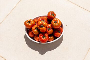 bown with Raf tomato 