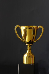 Gold plated trophy on a stand with a black background