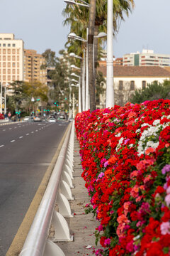 Puente de las Flores, Valencia
