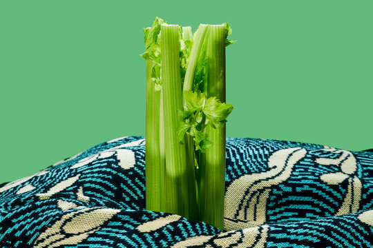 man with a celery bunch under his arm