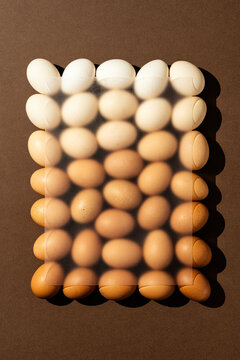 Color gradient brown eggs on brown background 