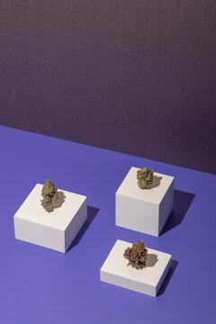 Product showcase of cannabis flower on display boxes