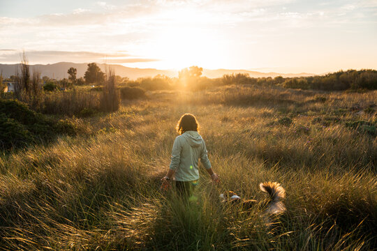 Serene sunset walk with dog in countryside