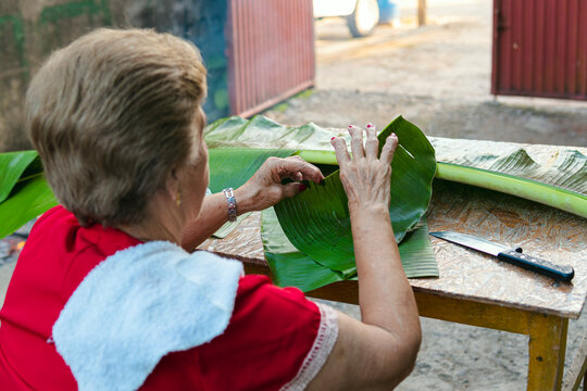 Woman cutting a banana leaf