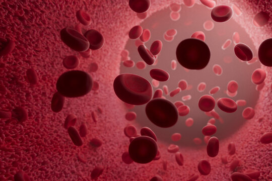 3D Render of Red Blood Cells Inside Vessel