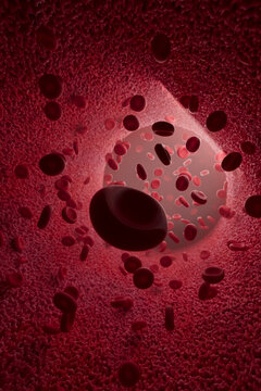 3D Render of Erythrocytes in Blood Vessel