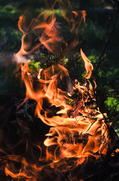 Fire