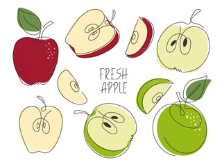 Various apple slices isolated on white. Continuous line modern simple illustration. Fresh healthy garden fruit doodle drawing. Healthy natural organic food. Ingredient for juice, smoothie, dessert