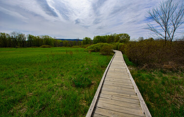 Obraz premium Appalachian Trail Vernon New Jersey