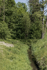 Nature on a sunny day. A small stream flowing through the countryside. Grass on the bank, trees in the background. Summer, season, sunny day