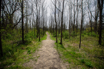 Obraz premium Appalachian Trail Vernon New Jersey