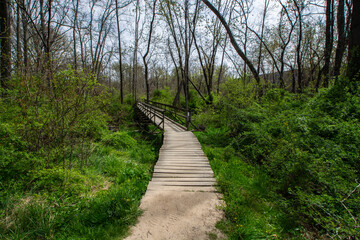 Obraz premium Appalachian Trail Vernon New Jersey