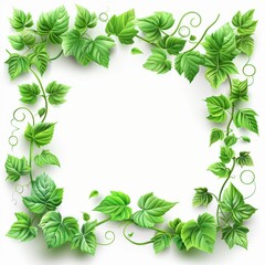 Fototapeta premium Green Leaf Frame With Vines