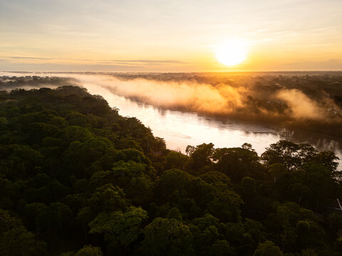 Aerial Sunset View of Amazon Rainforest and River