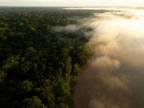 Aerial  View of Amazon Rainforest and River