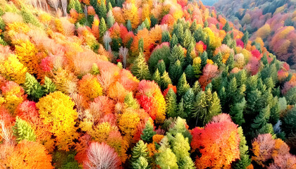 Bunte Herbstwahl von oben 