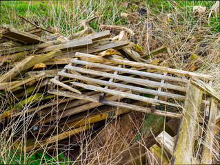Broken wooden pallets and debris in overgrown field, signifying neglect and disrepair.