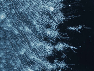 Abstract background with ice crystals forming