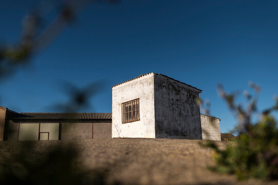 Weathered shed in late afternoon, rural lifestyle