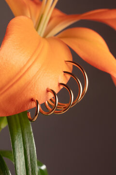 Lily with earrings