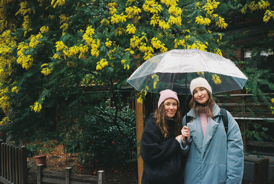 Young girlfriends with umbrella under the blooming tree